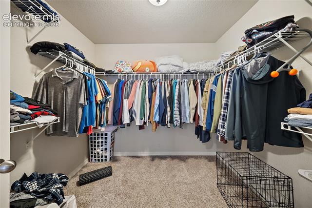 MLS Image for 8675  Vanderwood  ,Colorado Springs, Colorado