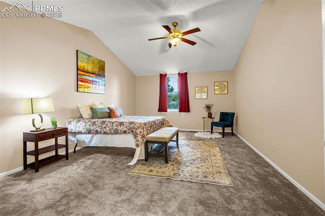 MLS Image for 704  Saddlemountain  ,Colorado Springs, Colorado