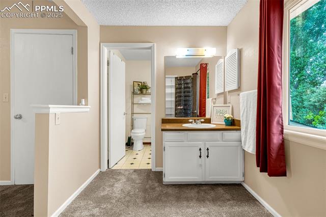 MLS Image for 704  Saddlemountain  ,Colorado Springs, Colorado