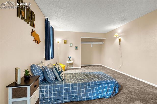 MLS Image for 704  Saddlemountain  ,Colorado Springs, Colorado
