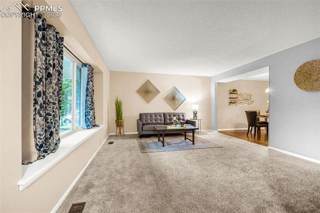 MLS Image for 704  Saddlemountain  ,Colorado Springs, Colorado