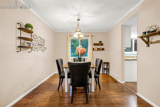 MLS Image for 704  Saddlemountain  ,Colorado Springs, Colorado