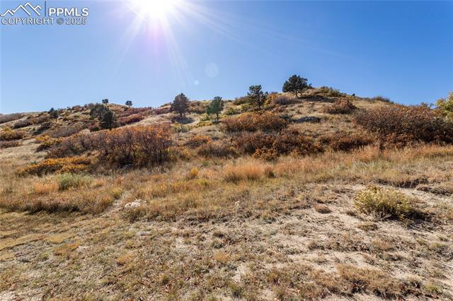 MLS Image for 7685  Sierra Pine  ,Colorado Springs, Colorado