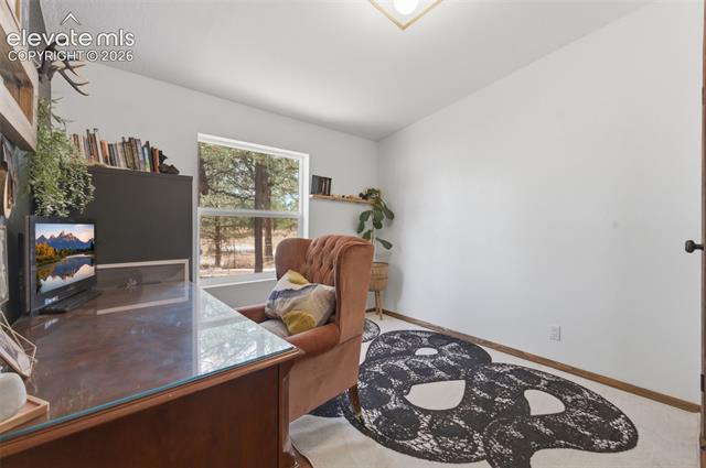 MLS Image for 18440  Black Squirrel  ,Colorado Springs, Colorado
