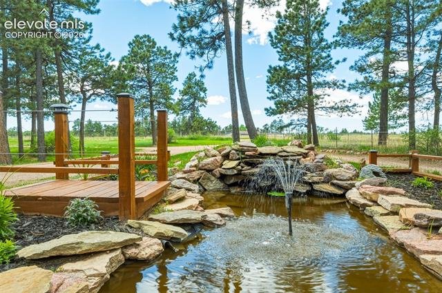MLS Image for 18440  Black Squirrel  ,Colorado Springs, Colorado
