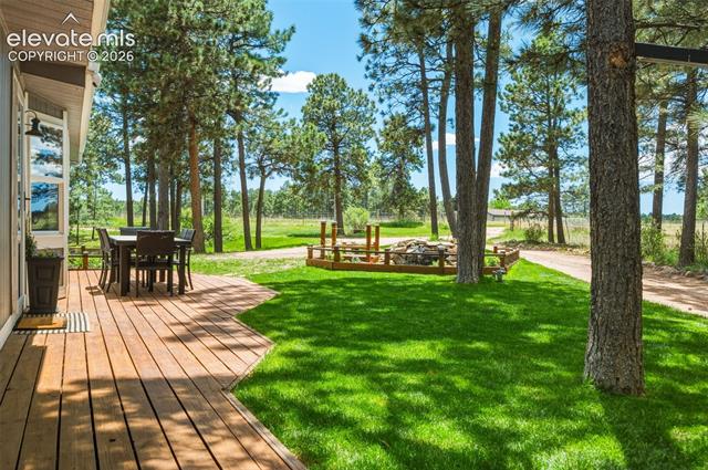 MLS Image for 18440  Black Squirrel  ,Colorado Springs, Colorado
