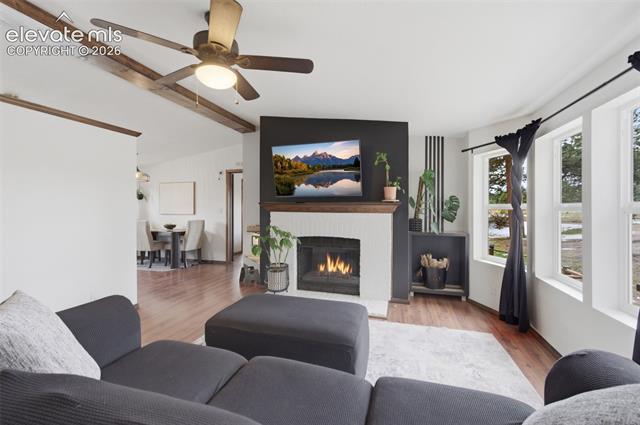 MLS Image for 18440  Black Squirrel  ,Colorado Springs, Colorado
