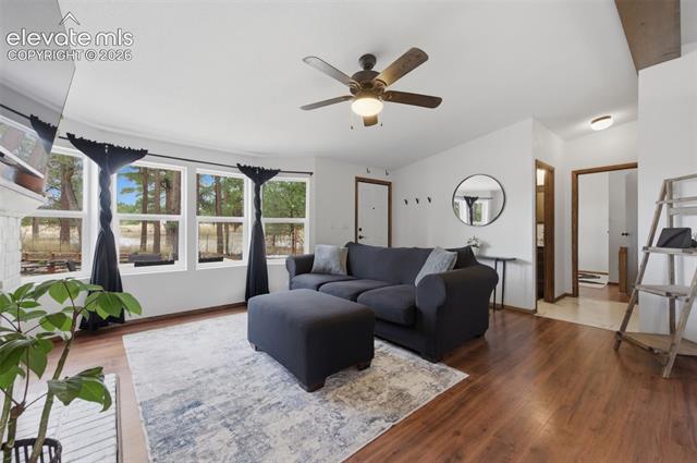 MLS Image for 18440  Black Squirrel  ,Colorado Springs, Colorado