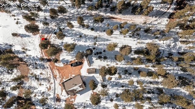 MLS Image for 112  Needle Creek  ,Divide, Colorado