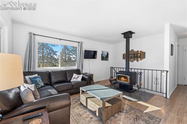 MLS Image for 112  Needle Creek  ,Divide, Colorado