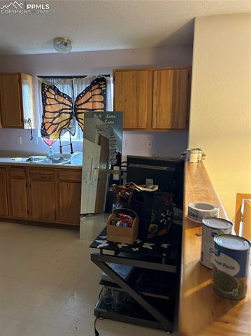 MLS Image for 1318  Race  ,Colorado Springs, Colorado