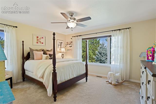 MLS Image for 345  Lions Head  ,Monument, Colorado
