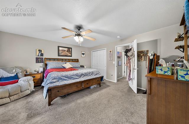 MLS Image for 7534  Wrangler Ridge  ,Colorado Springs, Colorado