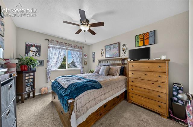MLS Image for 7534  Wrangler Ridge  ,Colorado Springs, Colorado