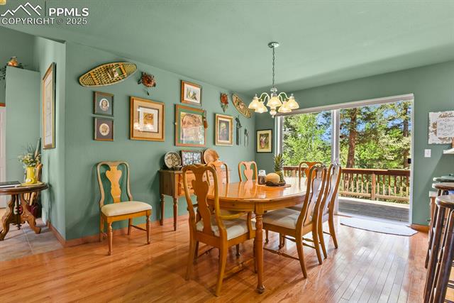 MLS Image for 938  Spring Valley  ,Florissant, Colorado