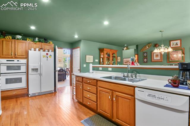 MLS Image for 938  Spring Valley  ,Florissant, Colorado