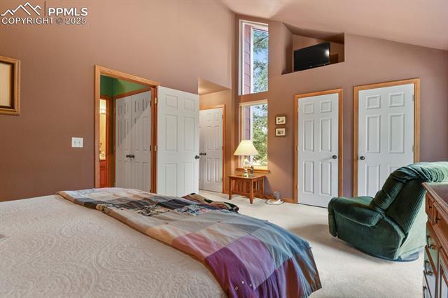 MLS Image for 938  Spring Valley  ,Florissant, Colorado