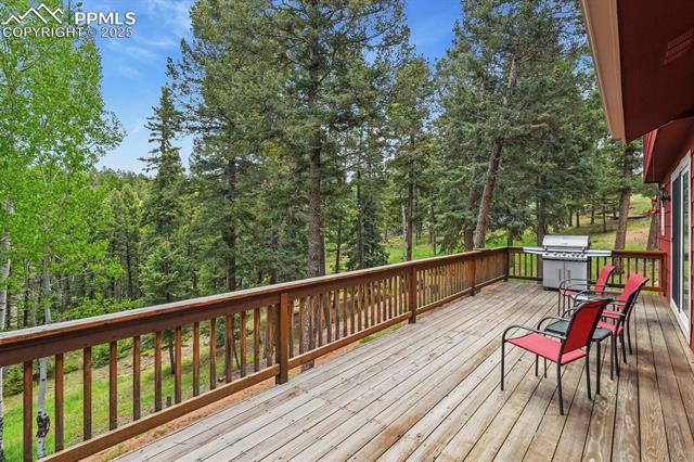 MLS Image for 938  Spring Valley  ,Florissant, Colorado