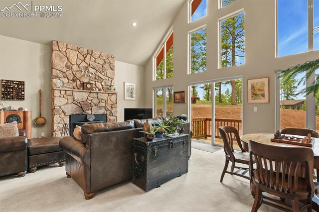 MLS Image for 938  Spring Valley  ,Florissant, Colorado