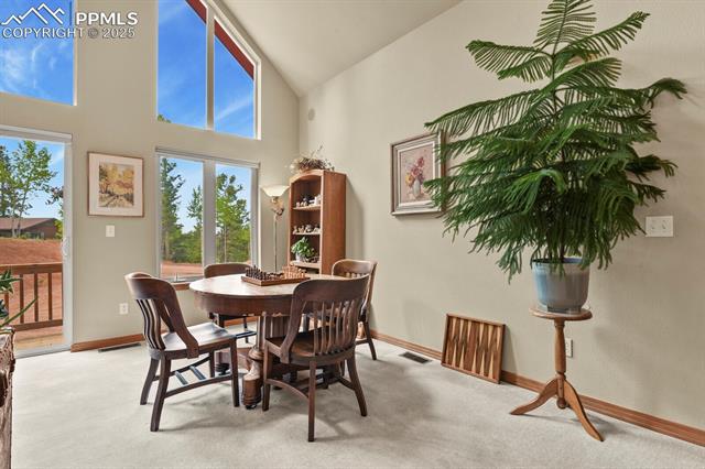MLS Image for 938  Spring Valley  ,Florissant, Colorado