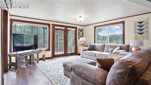MLS Image for 145  Valley  ,Woodland Park, Colorado