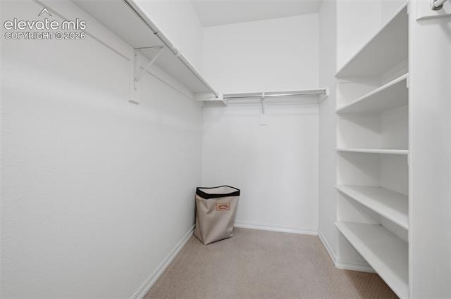 MLS Image for 193  Wild Grass  ,Colorado Springs, Colorado