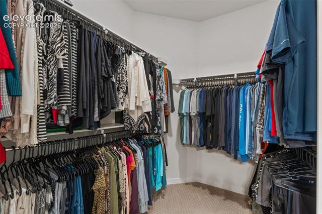 MLS Image for 6025  Bennach  ,Colorado Springs, Colorado