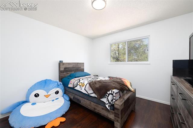 MLS Image for 4570  Iron Horse  ,Colorado Springs, Colorado
