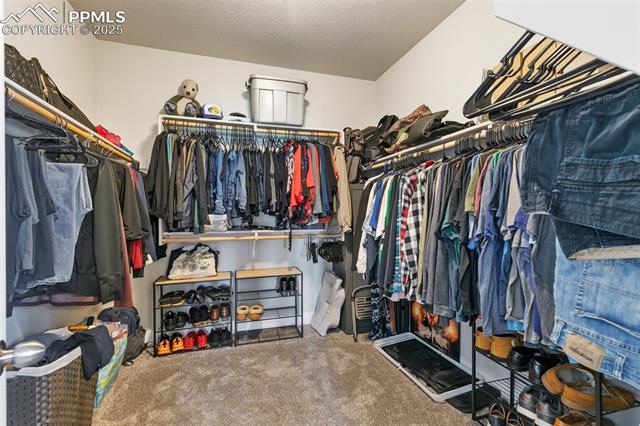 MLS Image for 8323  Noreen Falls  ,Colorado Springs, Colorado