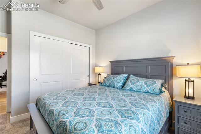 MLS Image for 8323  Noreen Falls  ,Colorado Springs, Colorado