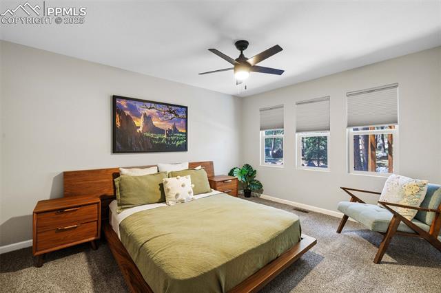 MLS Image for 6940  Franciville  ,Colorado Springs, Colorado