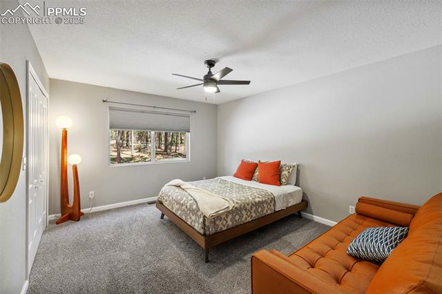 MLS Image for 6940  Franciville  ,Colorado Springs, Colorado
