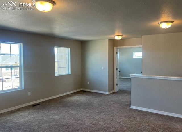 MLS Image for 6005  Williams Run  ,Colorado Springs, Colorado