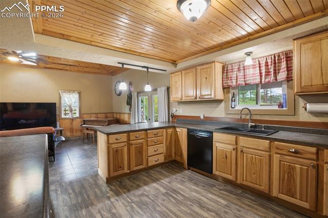 MLS Image for 13599  County Road 1  ,Florissant, Colorado