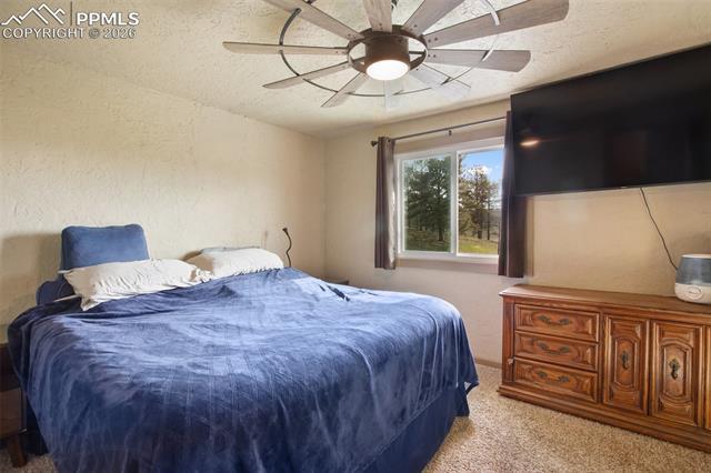 MLS Image for 13599  County Road 1  ,Florissant, Colorado