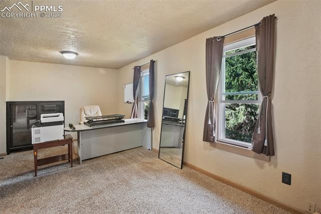 MLS Image for 13599  County Road 1  ,Florissant, Colorado