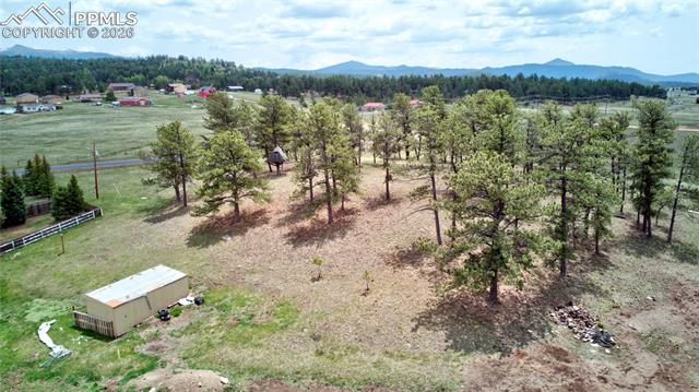 MLS Image for 13599  County Road 1  ,Florissant, Colorado