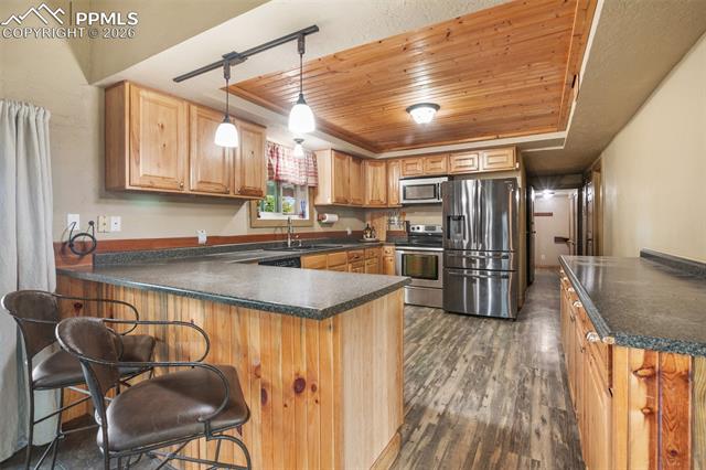 MLS Image for 13599  County Road 1  ,Florissant, Colorado