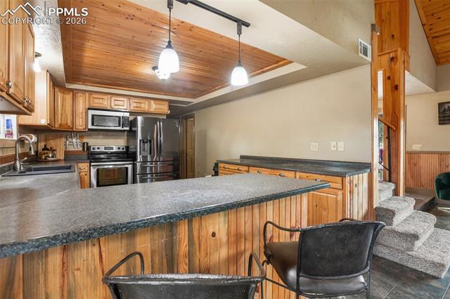 MLS Image for 13599  County Road 1  ,Florissant, Colorado