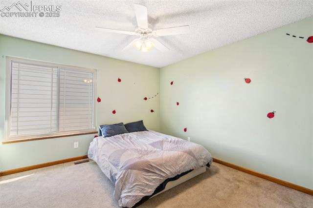 MLS Image for 6980  Native  ,Colorado Springs, Colorado