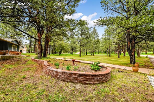 MLS Image for 19070  White Fawn  ,Monument, Colorado