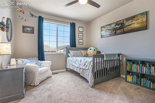 MLS Image for 12857  Morning Breeze  ,Peyton, Colorado