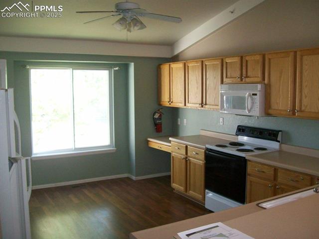 MLS Image for 1517  Chutney  ,Colorado Springs, Colorado
