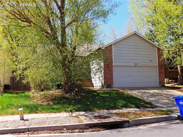 MLS Image for 1517  Chutney  ,Colorado Springs, Colorado