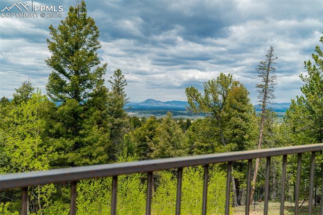 MLS Image for 2755  Elk Ridge South  ,Divide, Colorado