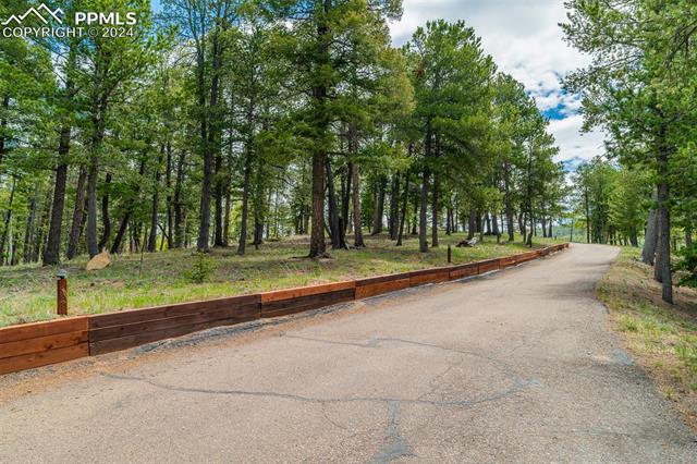 MLS Image for 2755  Elk Ridge South  ,Divide, Colorado