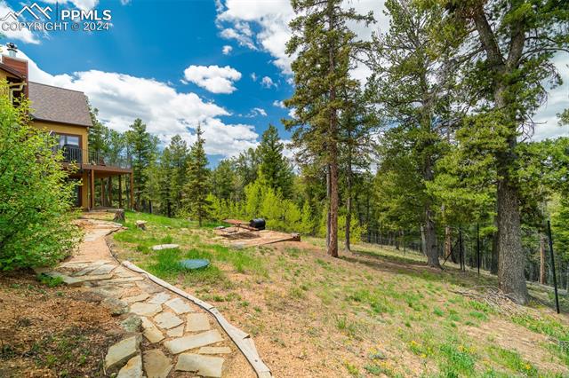 MLS Image for 2755  Elk Ridge South  ,Divide, Colorado