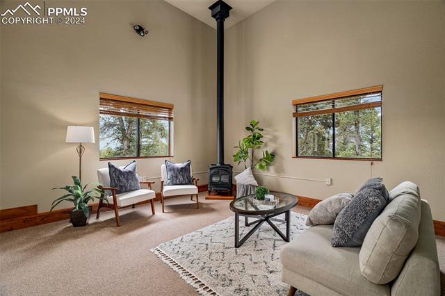 MLS Image for 2755  Elk Ridge South  ,Divide, Colorado