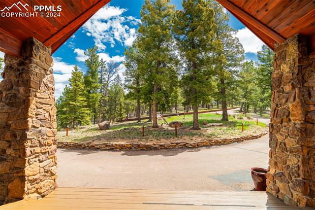 MLS Image for 2755  Elk Ridge South  ,Divide, Colorado