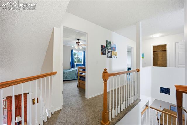 MLS Image for 8260  Ravenel  ,Colorado Springs, Colorado